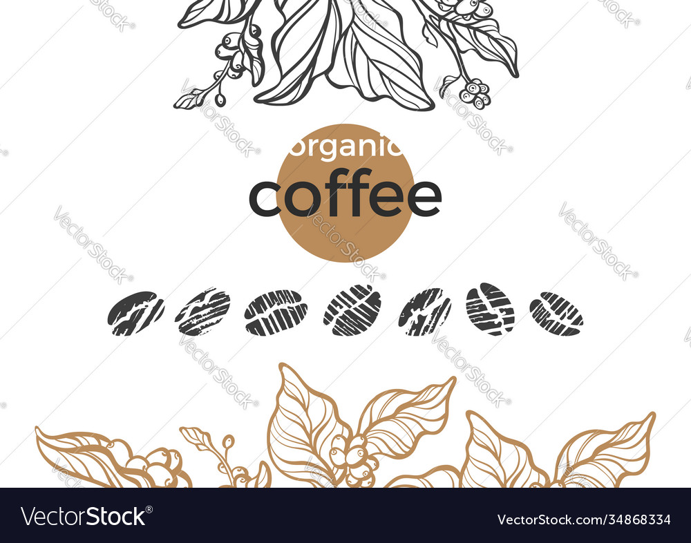 Nature set coffee tree bean