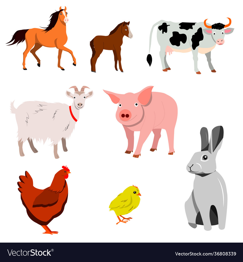 A set farm animals isolated on white