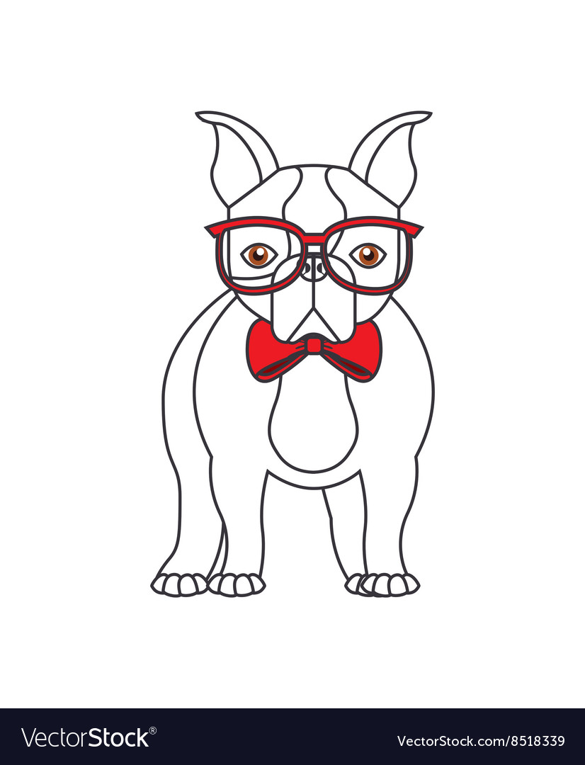 French bulldog design