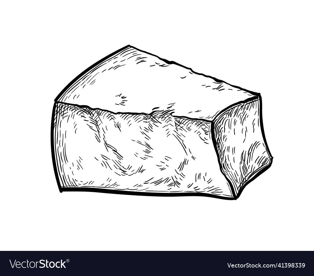 Parmesan cheese ink sketch Royalty Free Vector Image