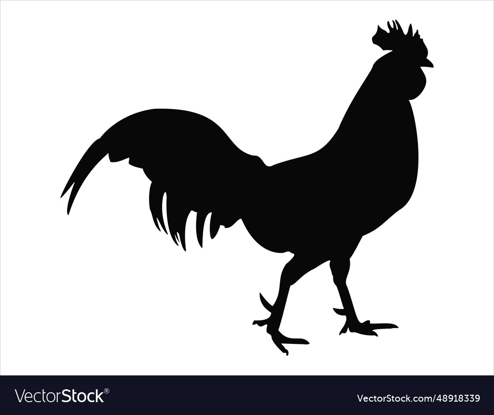 Rooster silhouette art Royalty Free Vector Image