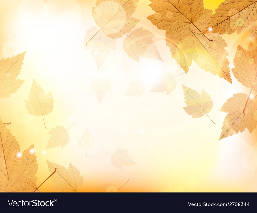 Autumn design background with leaves