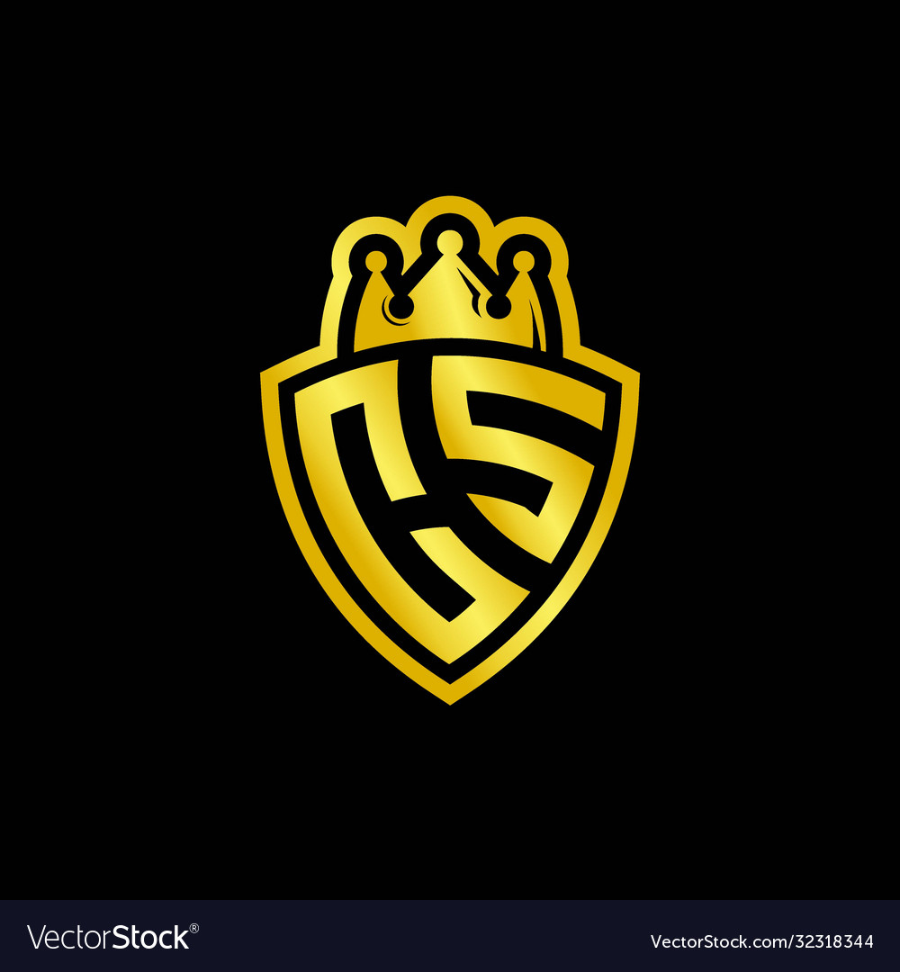 Cs monogram logo with shield and crown style Vector Image