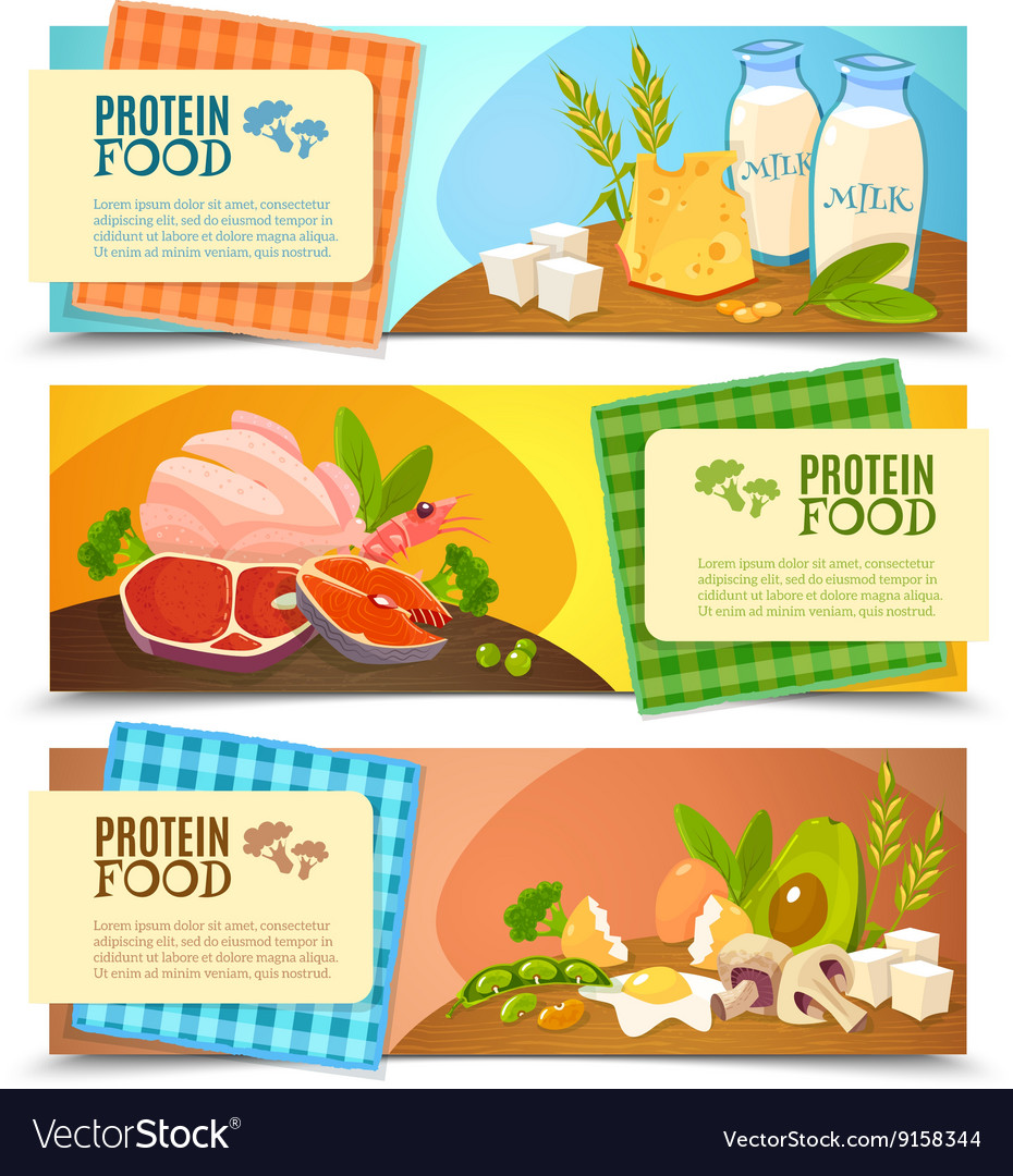 Protein food flat horizontal banners set Vector Image