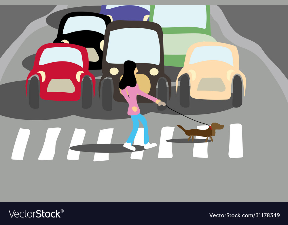 Girl with a dog crosses road at crossing