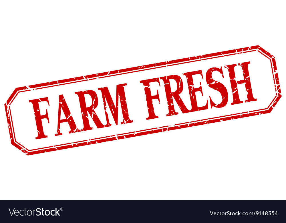 Farm fresh square red grunge vintage isolated