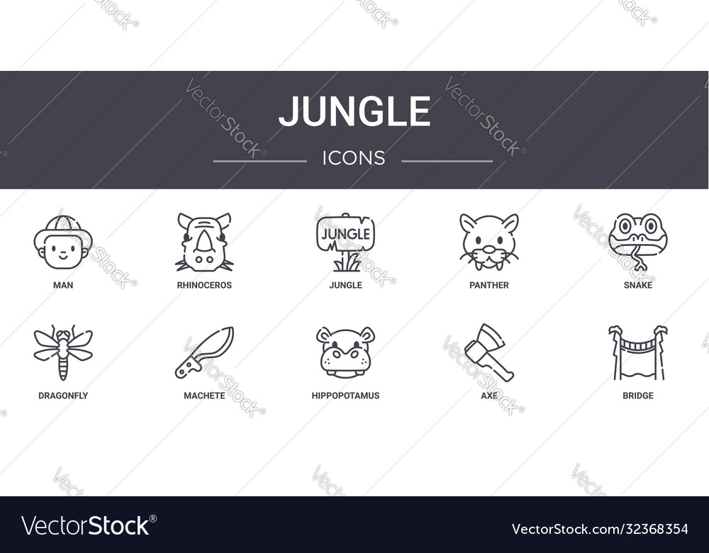 Jungle concept line icons set contains