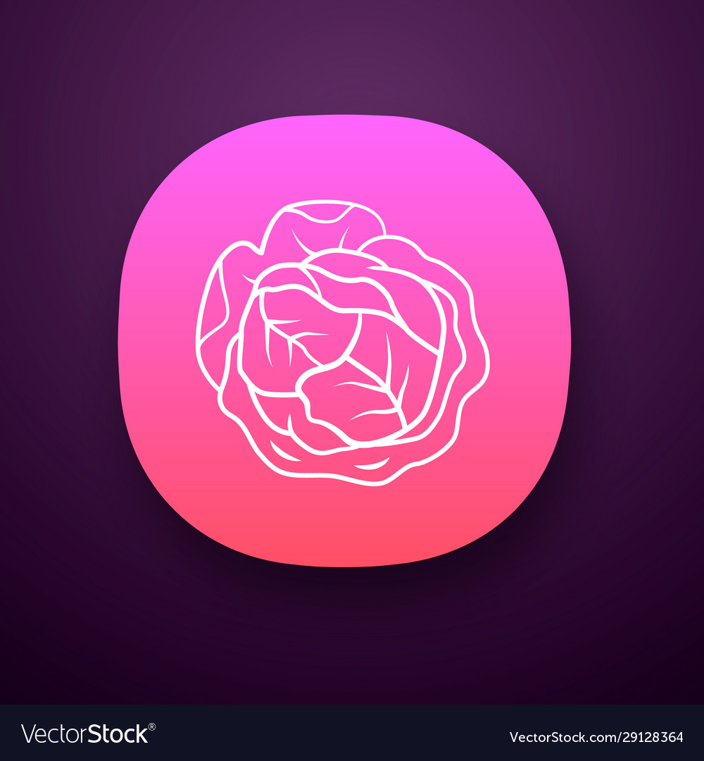 Cabbage color app icon