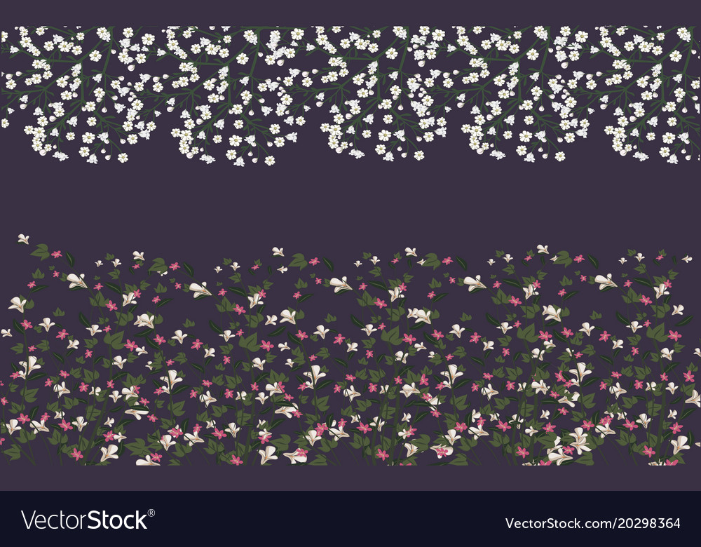 Floral Border with Baby's Breath