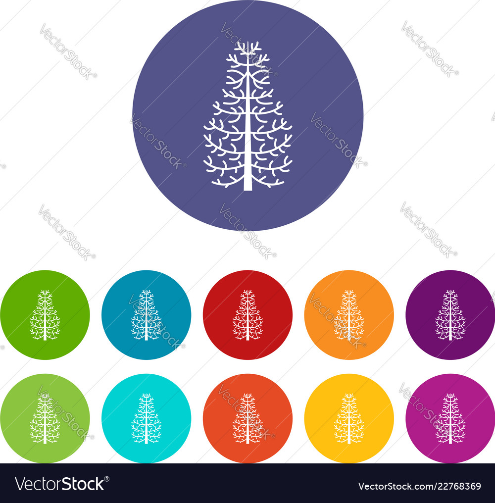 Fir tree icons set color Royalty Free Vector Image