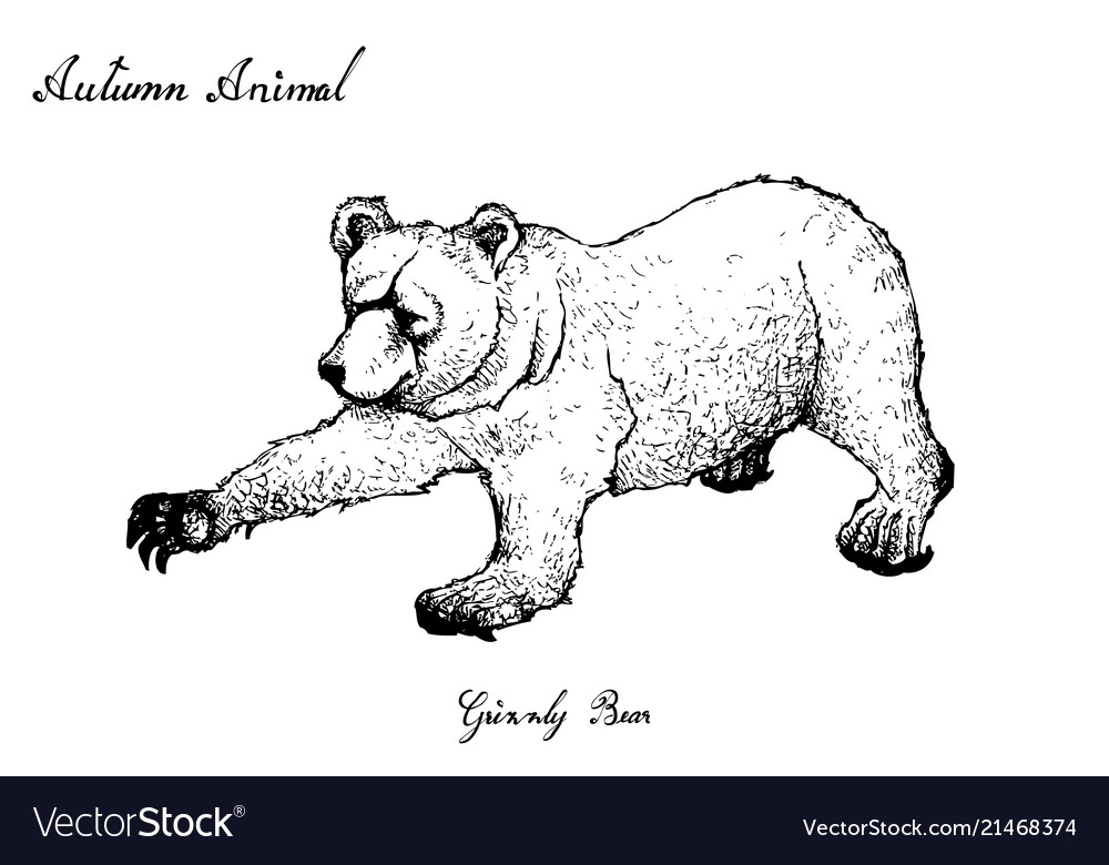 Autumn animal hand drawn of grizzly bear