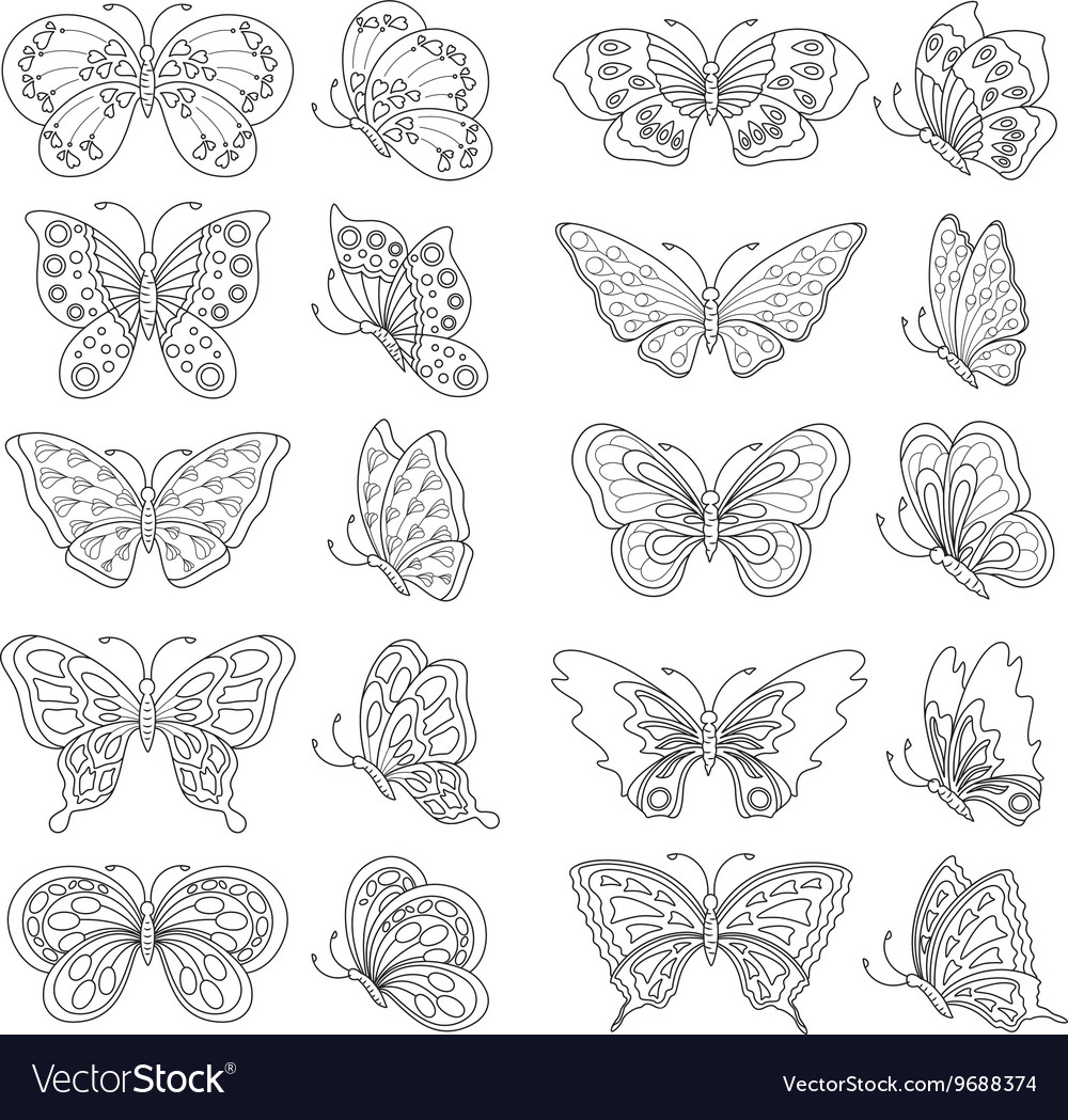 Black and white butterfly Royalty Free Vector Image