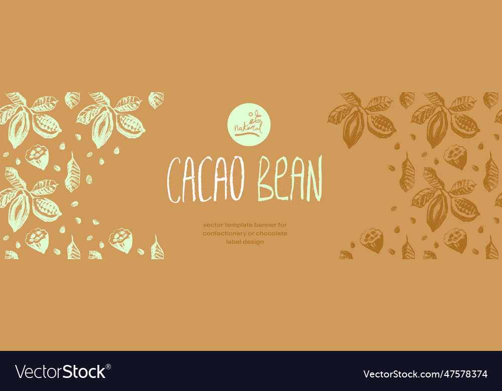 Chocolate banner template with cocoa beans pattern vector image Chocolate banner template with cocoa beans pattern