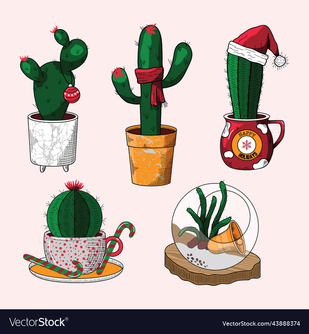 Christmas cactus in pots elements set