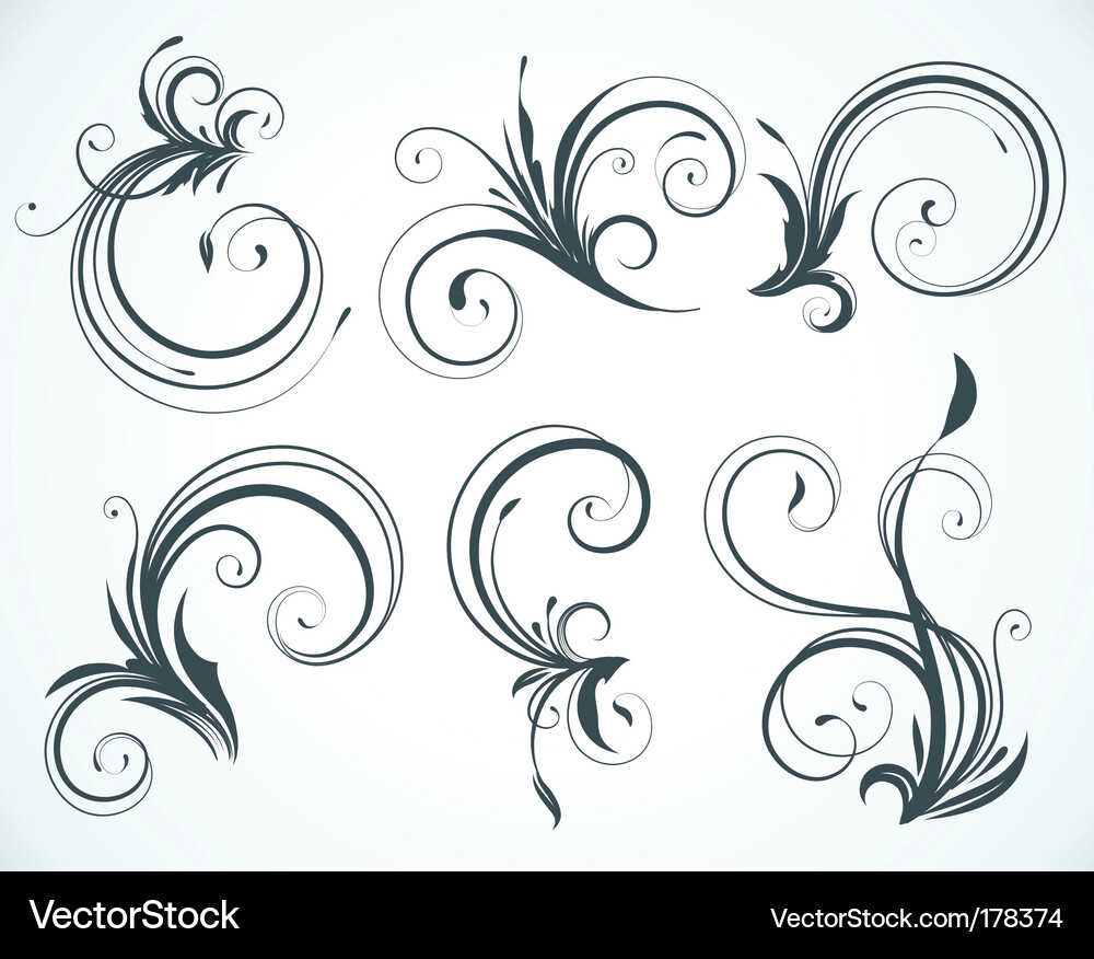 Floral elements Royalty Free Vector Image - VectorStock