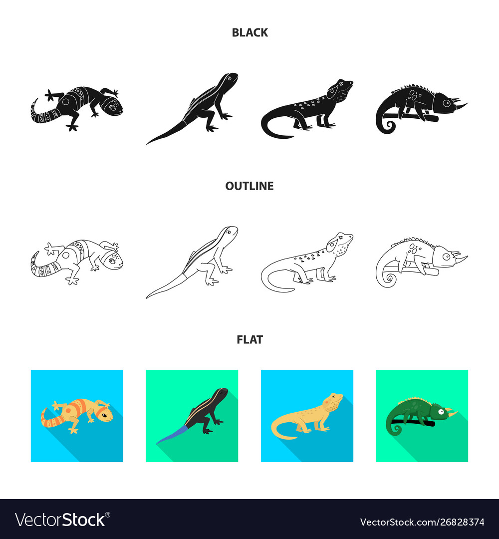 Isolated object tail and fauna icon set vector image Isolated object tail and fauna icon set