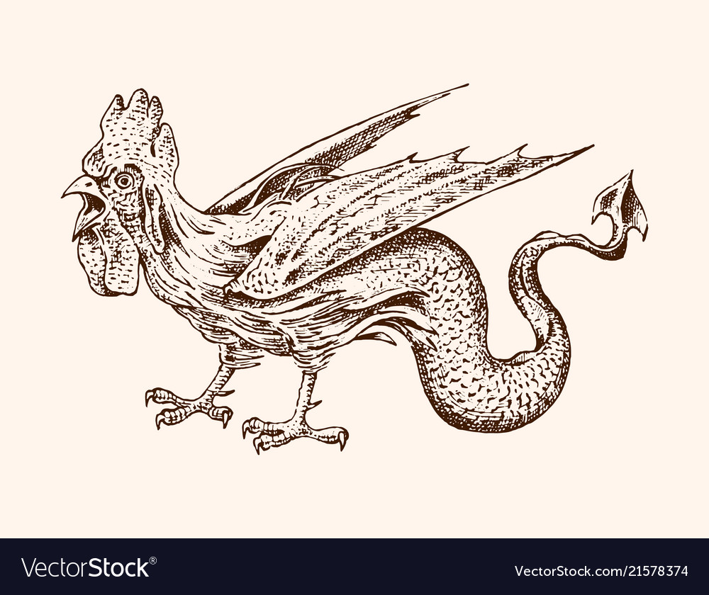 Mythical basilisk ancient mythology bird and Vector Image