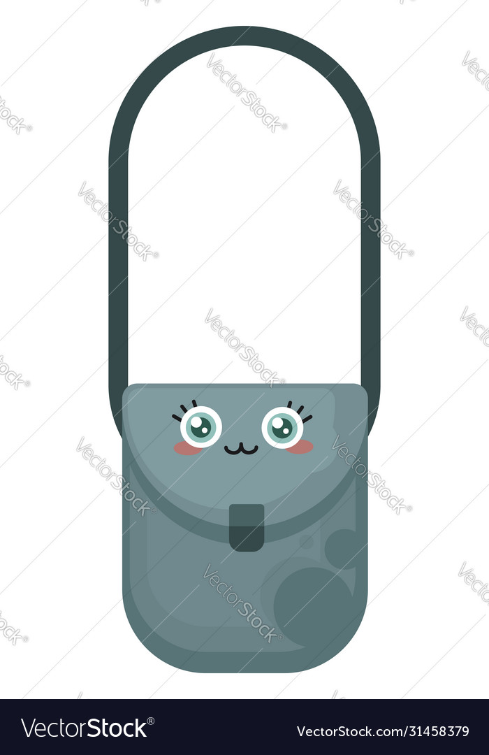 Woman bag on white background