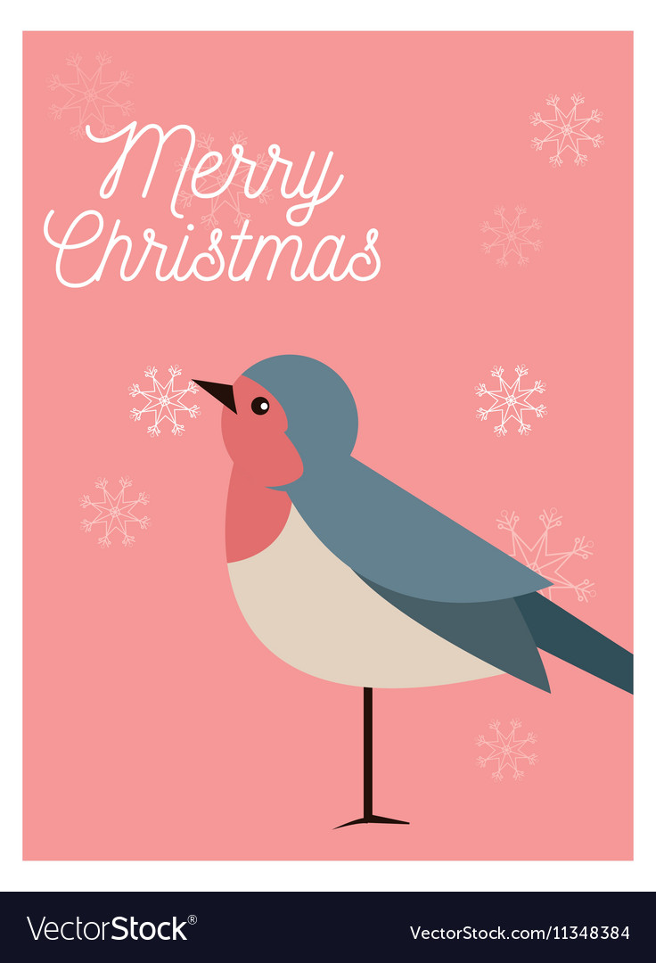 Bird cartoon of christmas season design