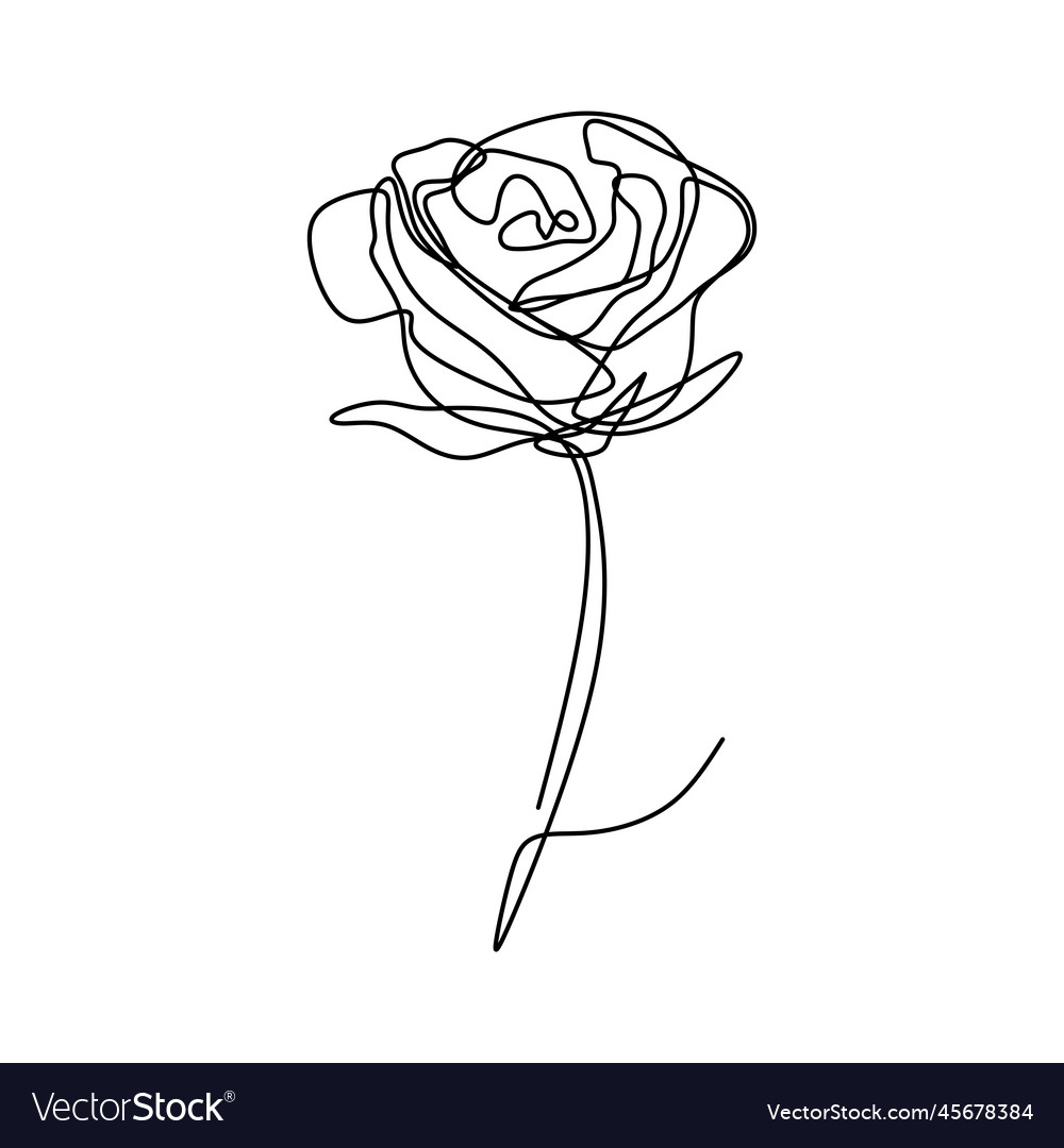 Continuous line drawing of rose flower Royalty Free Vector