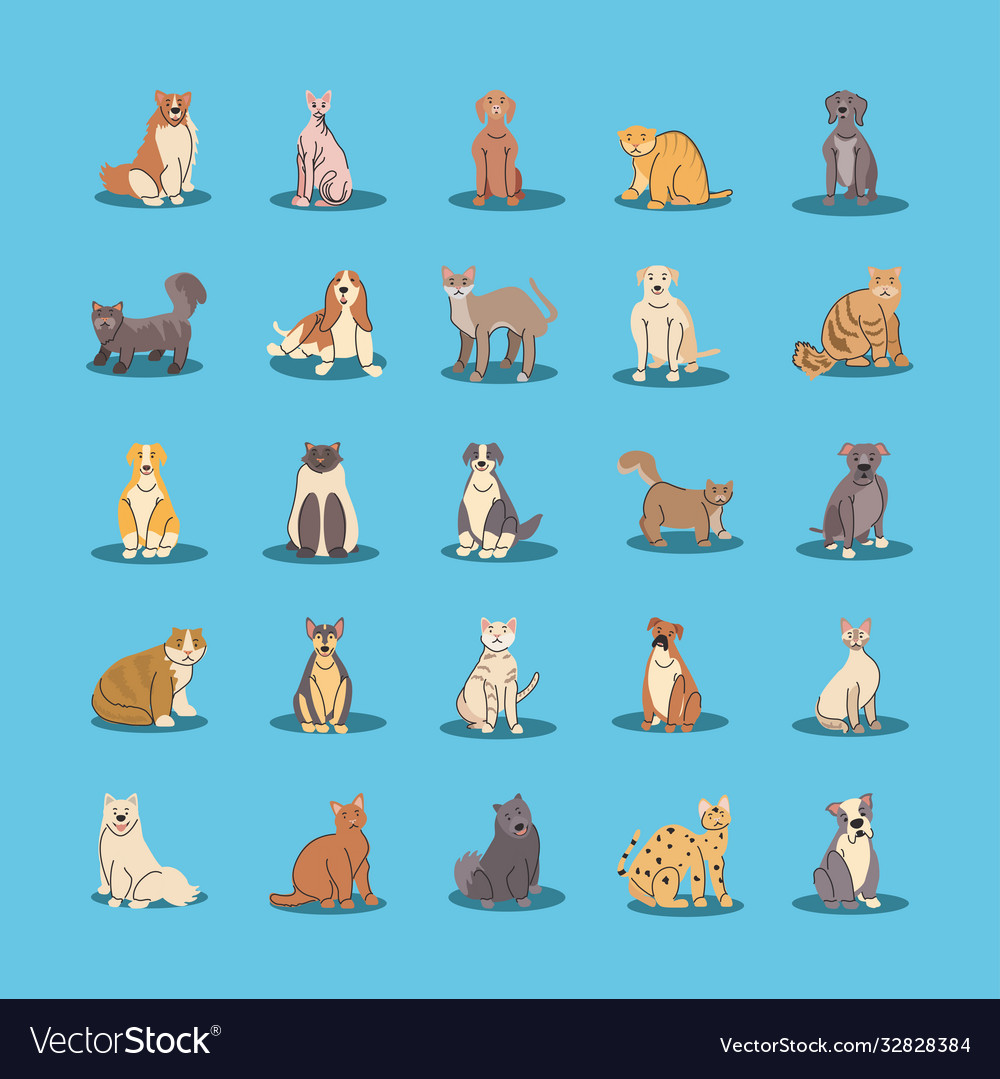 Set pets different breeds dogs and cats Royalty Free Vector