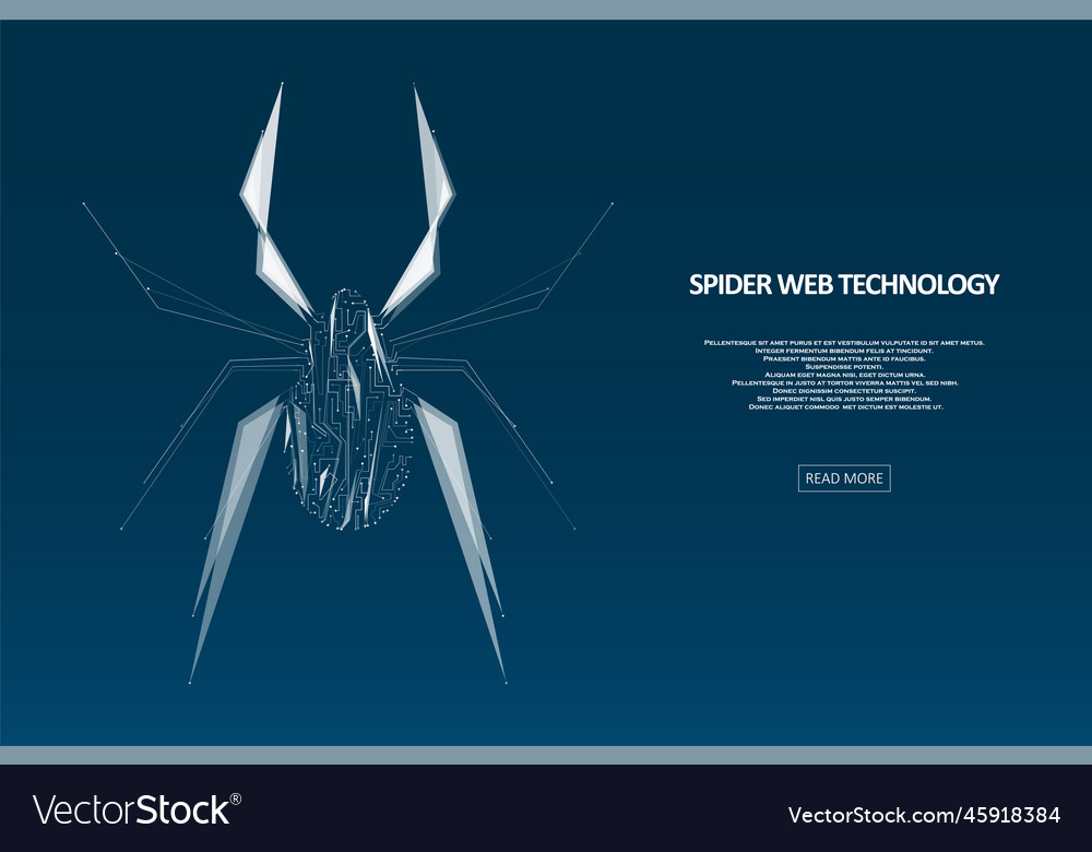 Spider hacker attack danger vector image Spider hacker attack danger