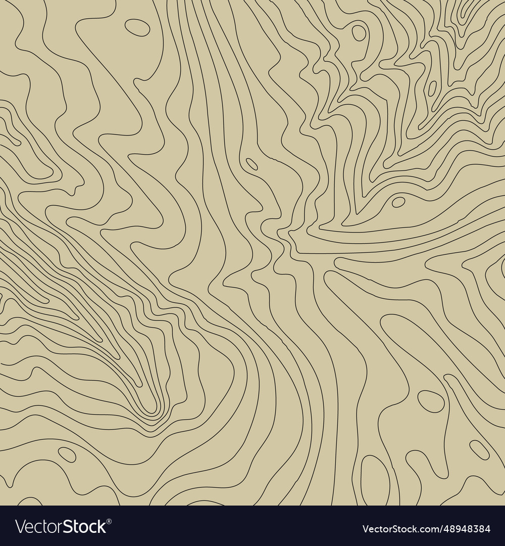 Topographic map background concept with space Vector Image Topographic map background concept with space