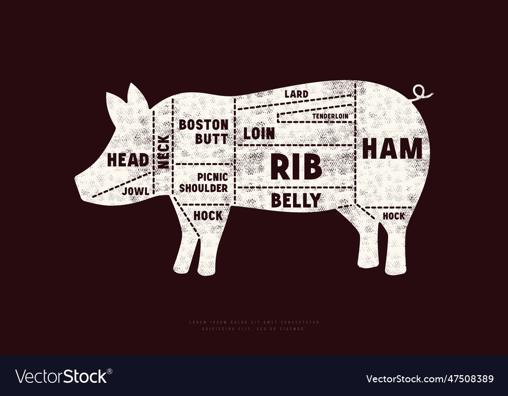 Ork Cuts Diagram In Silhouette Style Royalty Free Vector