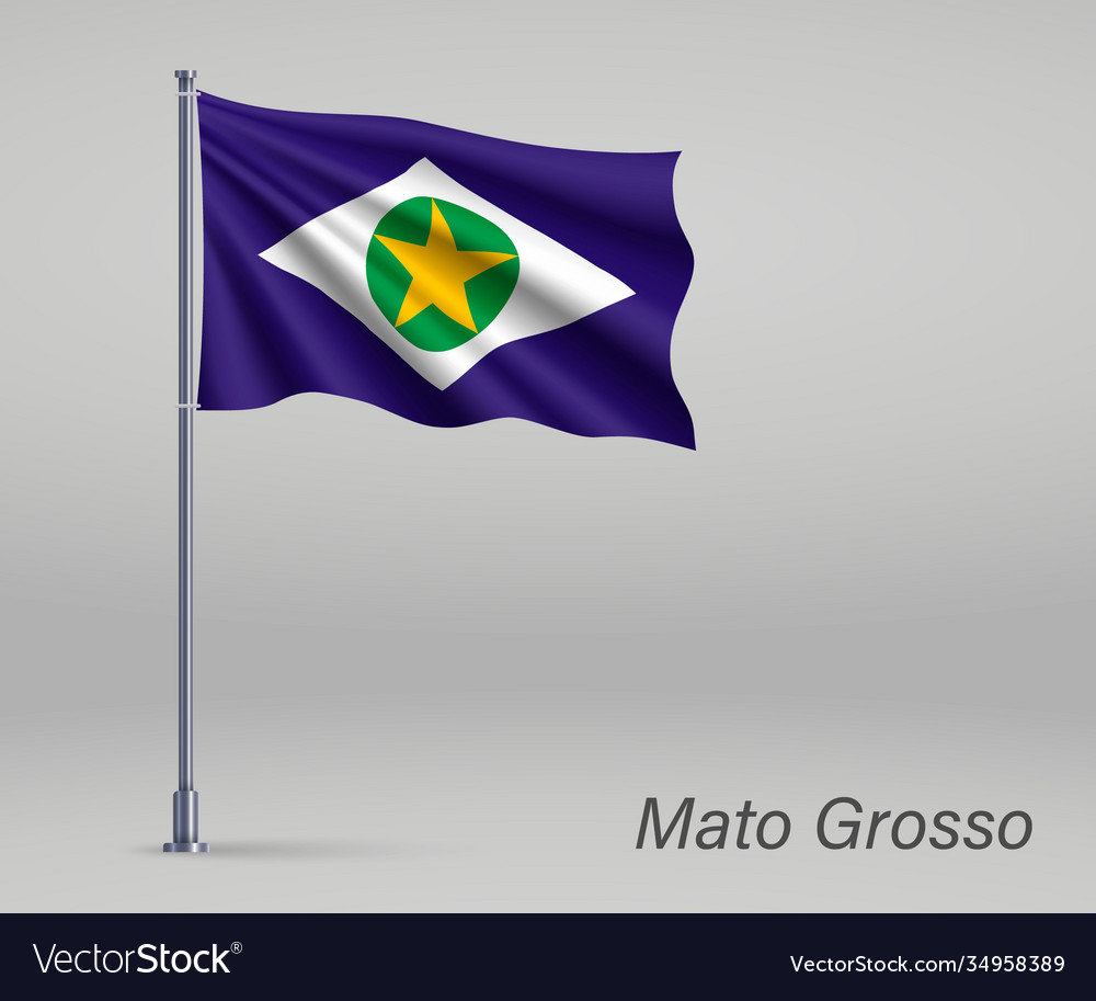 Waving flag mato grosso - state brazil