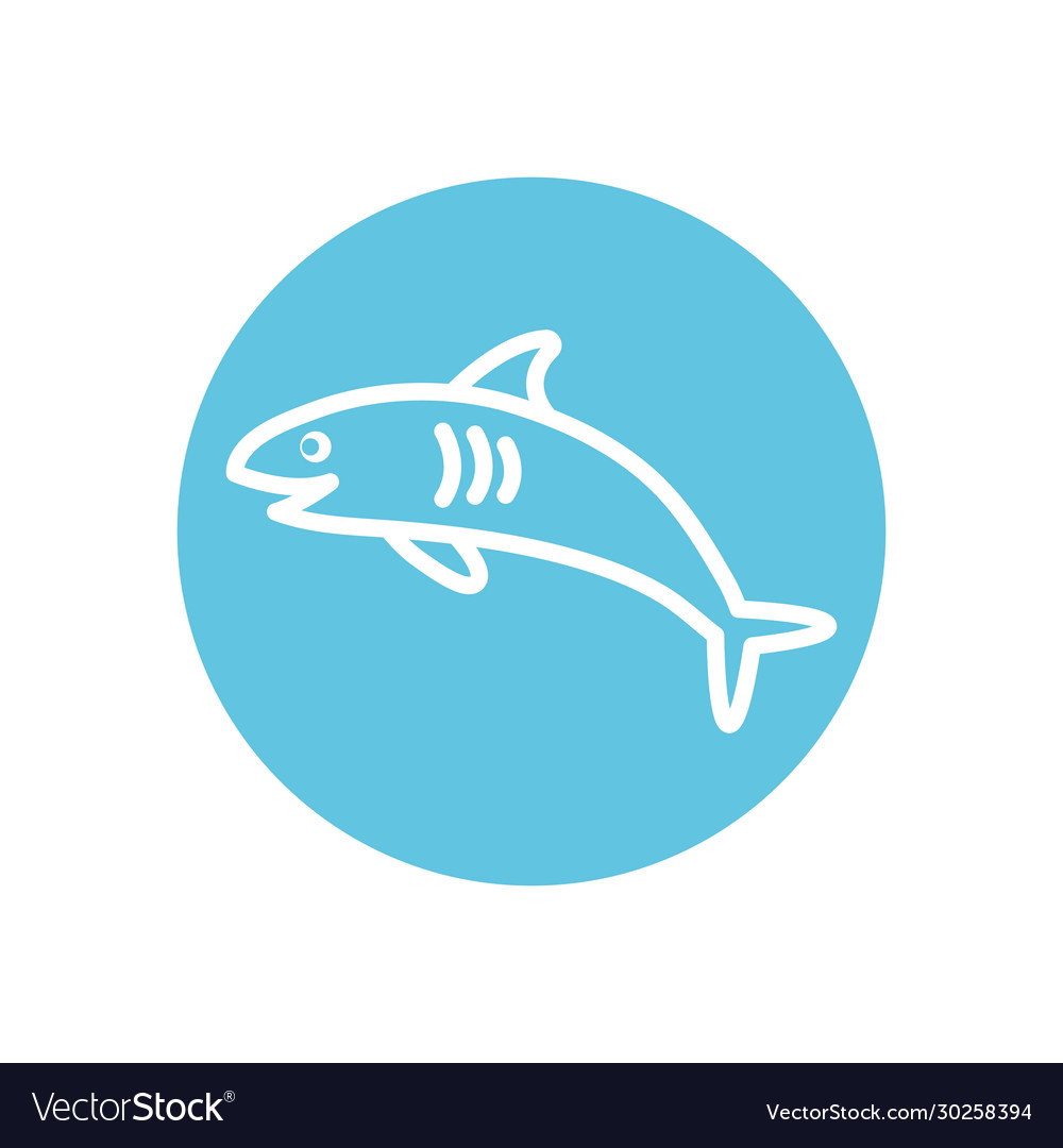 Isolated shark line block style icon design