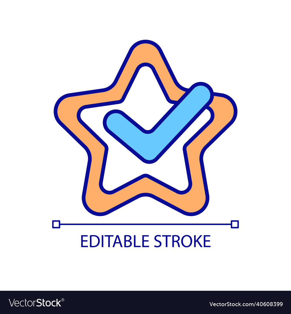Check mark with star rgb color icon vector image Check mark with star rgb color icon