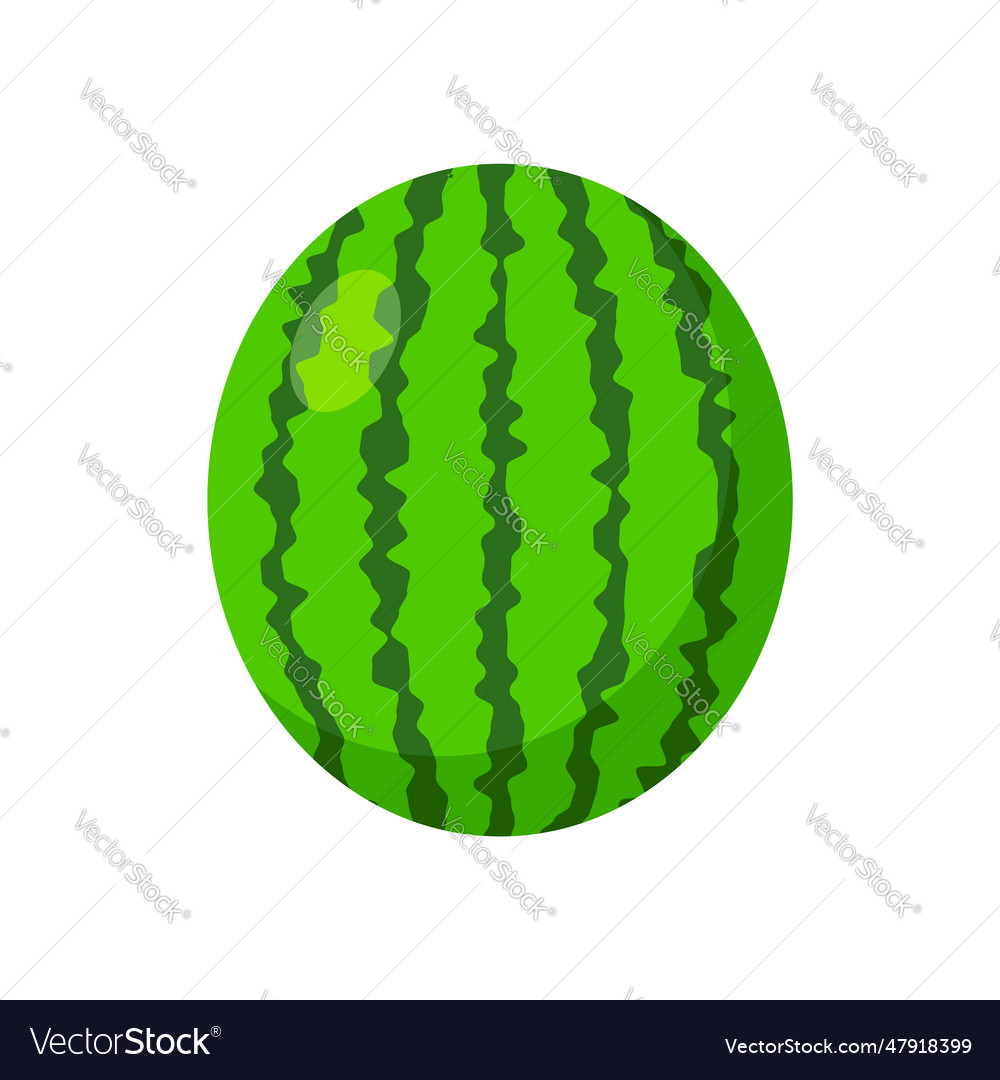 Wassermelone Frucht grün isoliert