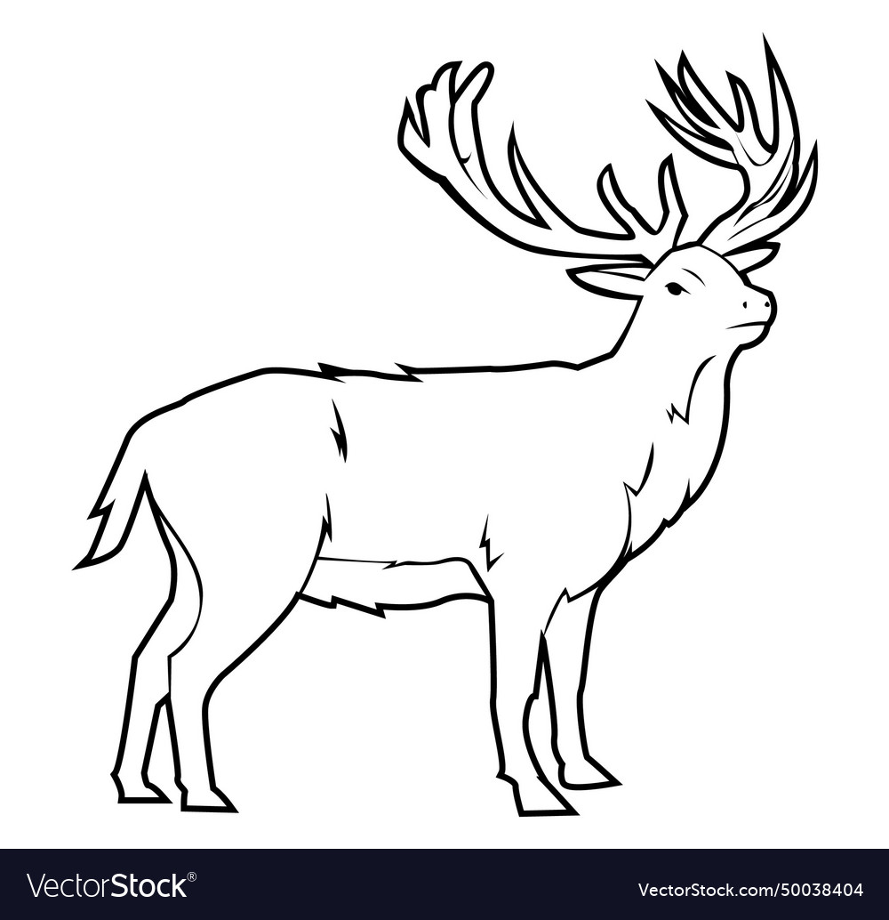 Black and white of deer Royalty Free Vector Image