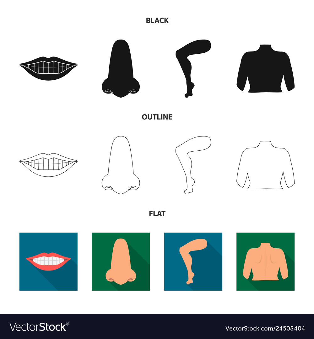 Isolated object of body and part icon set vector image Isolated object of body and part icon set