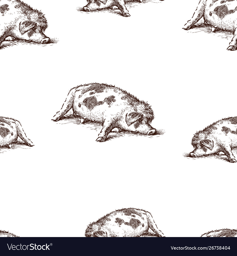Seamless pattern a lazy sleeping pig