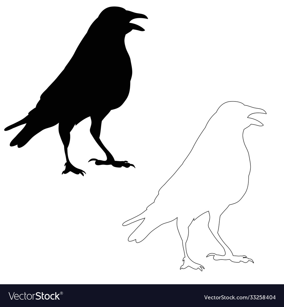 Sitting Raven Silhouette