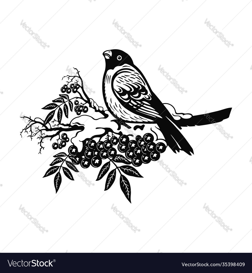 Bullfinch Vogel - Winter Wildtierschablonen