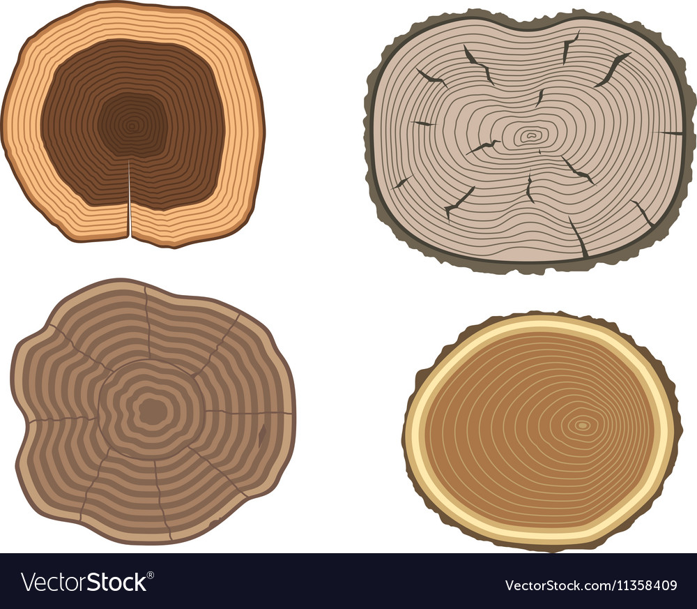 Tree slices set
