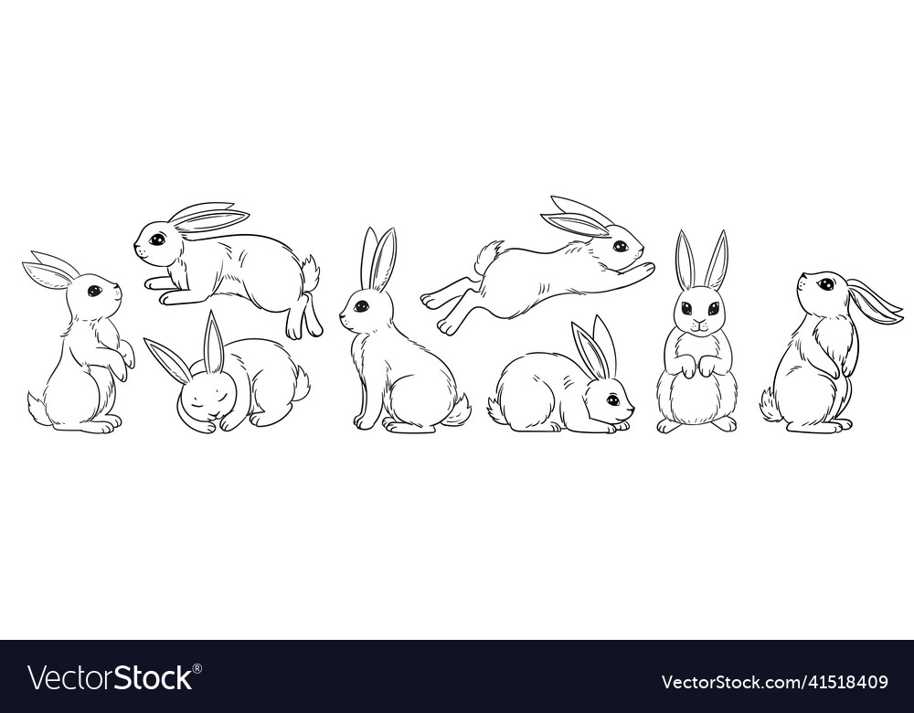 Various cute bunnies spring easter bunny