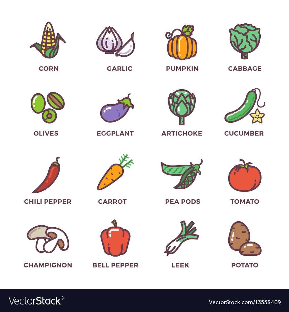 Vegetables vegan raw food colored icons set Vector Image