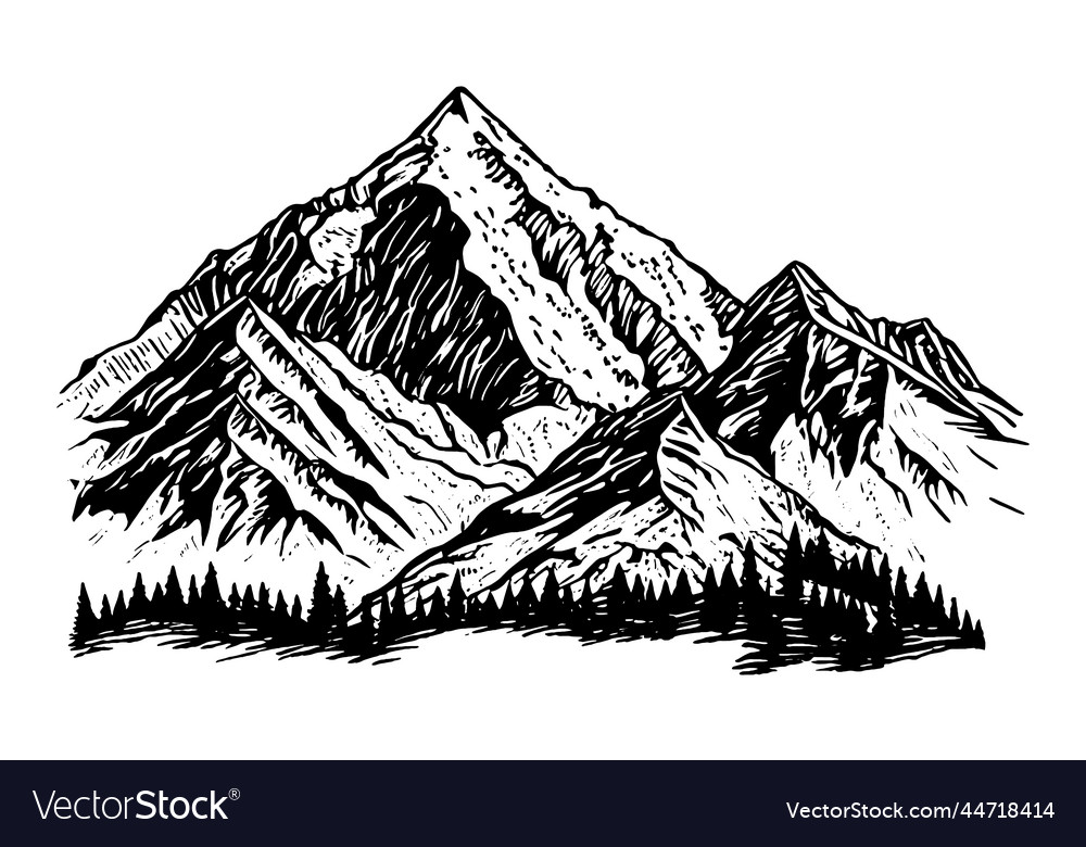 Mountain with pine trees and landscape black Vector Image
