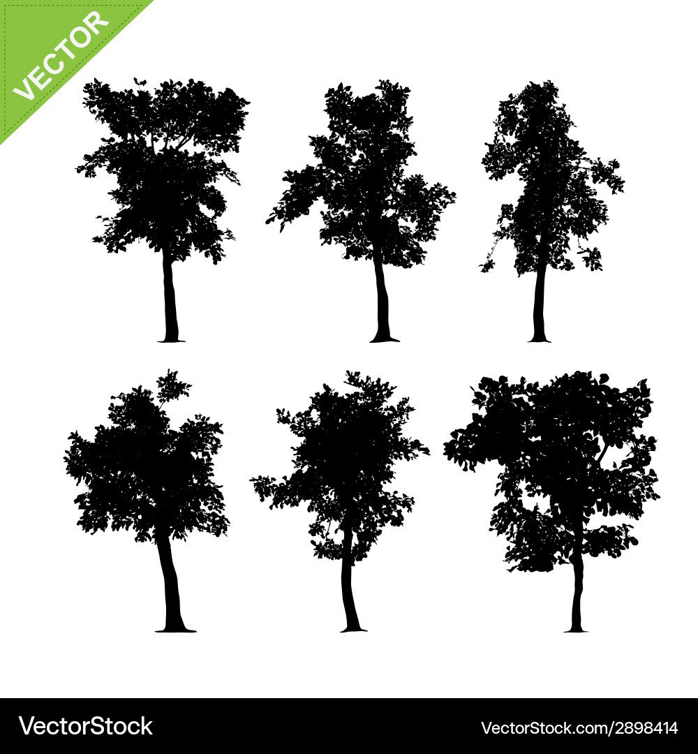 Tree silhouettes Royalty Free Vector Image - VectorStock