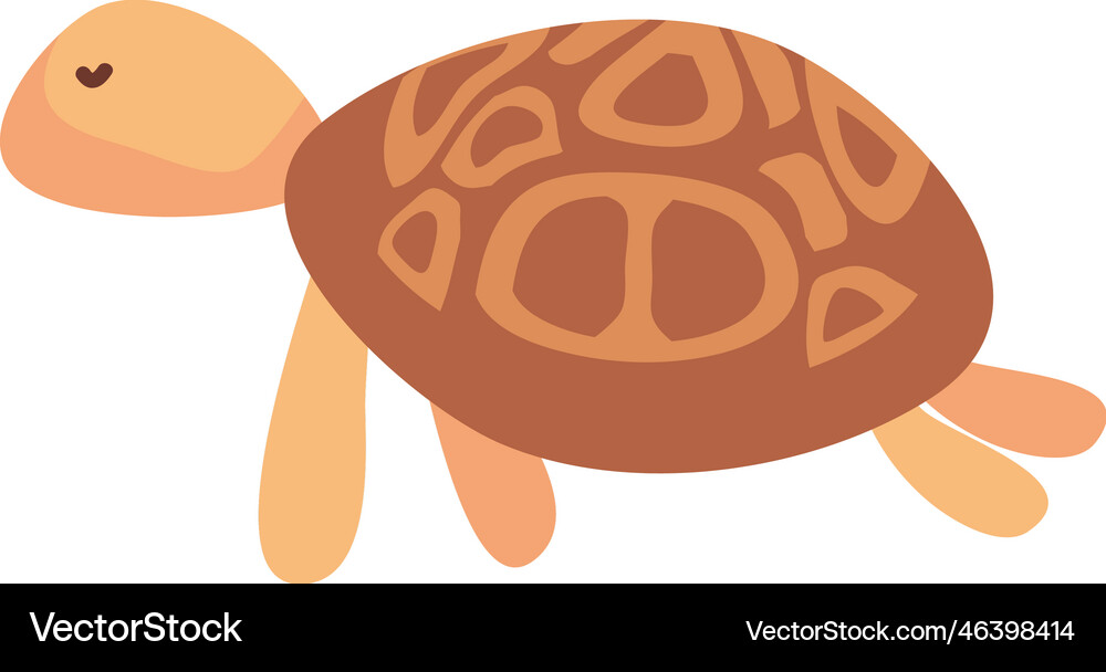 Turtle sealife animal Royalty Free Vector Image