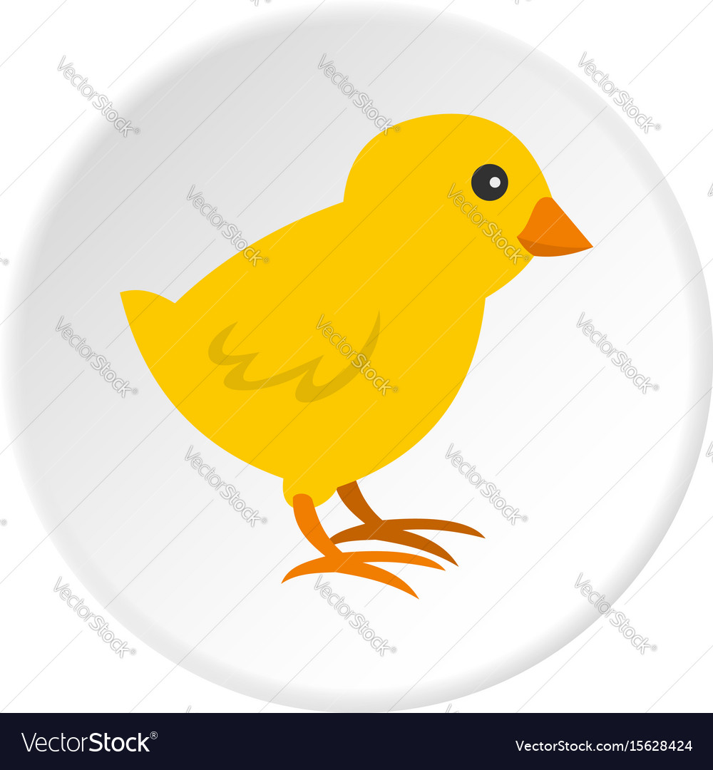 chick icon circle royalty
