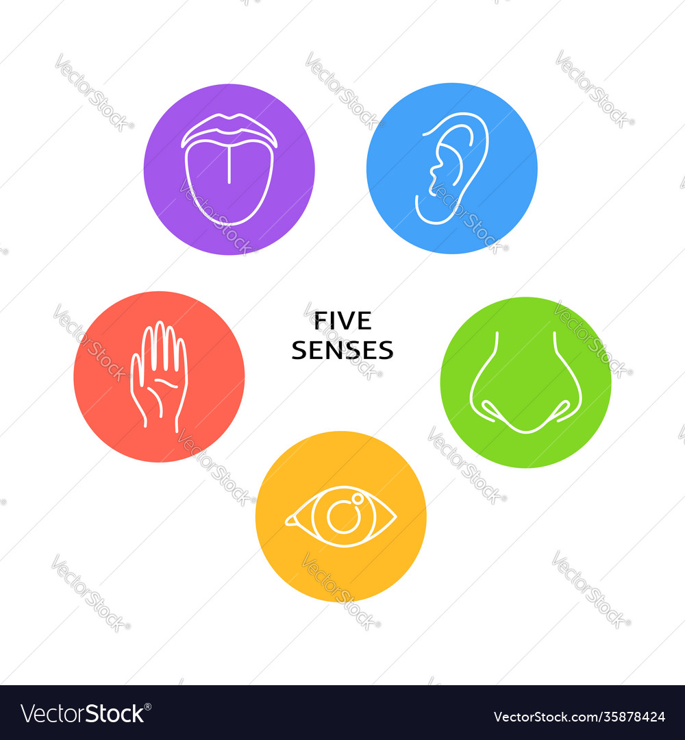 Five senses poster with symbols in line style Vector Image