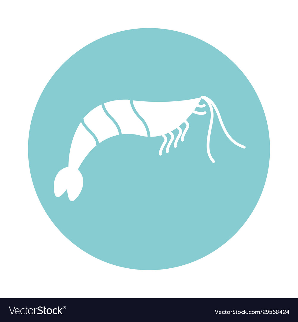 Isolated shrimp block style icon design