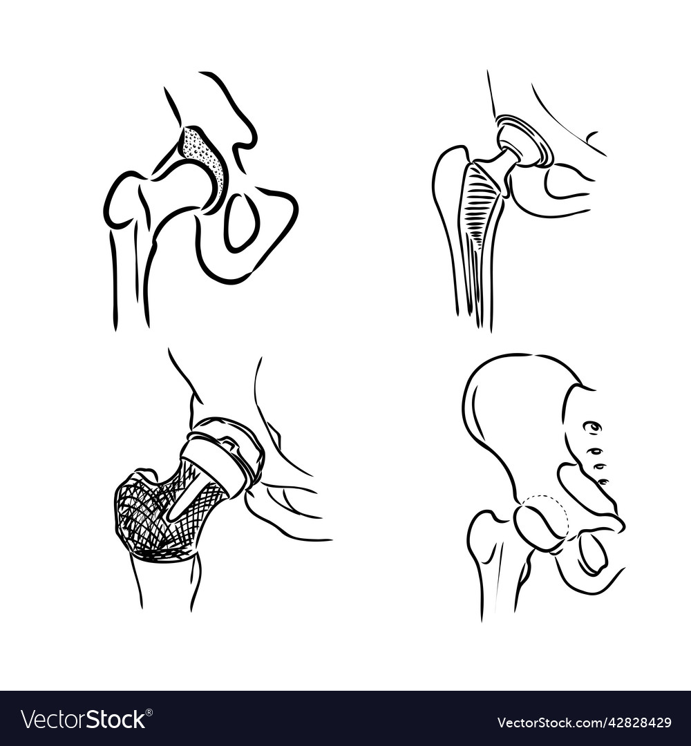 Hüfte Knochen Linie Icon Logo Design