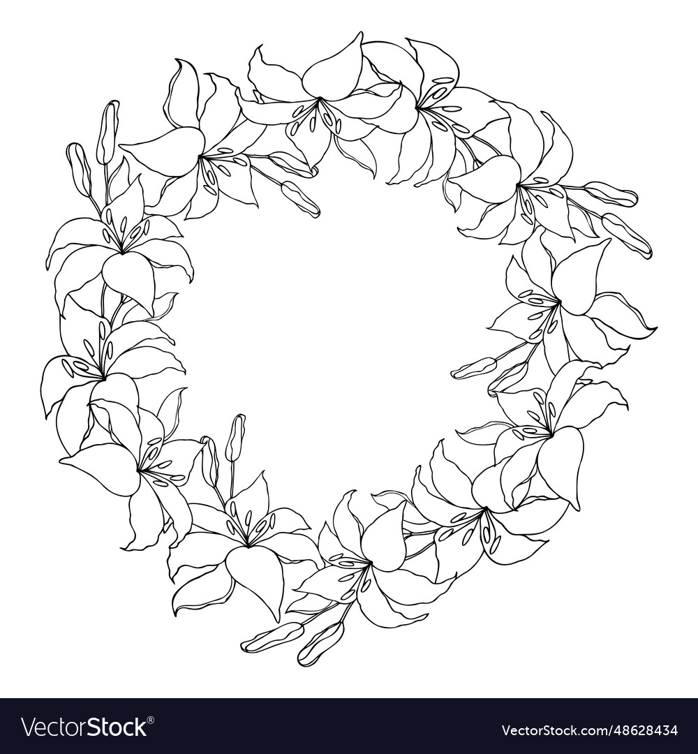 Lilly flower line art garland circle wreath set Vector Image