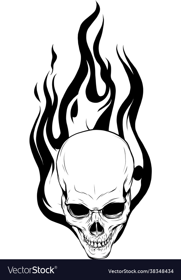 Silhouette Skull Falling Royalty Free Vector Image