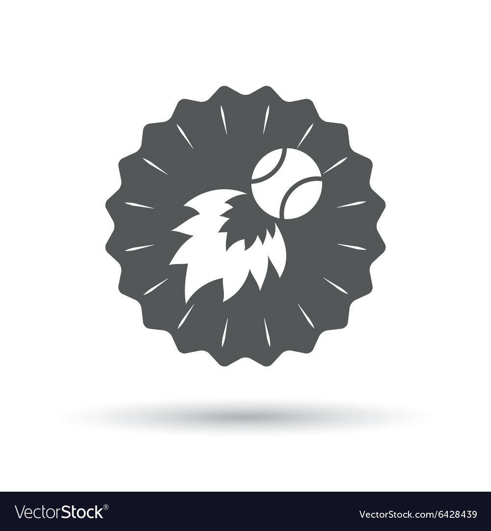 Tennis fireball sign icon fast sport symbol Vector Image